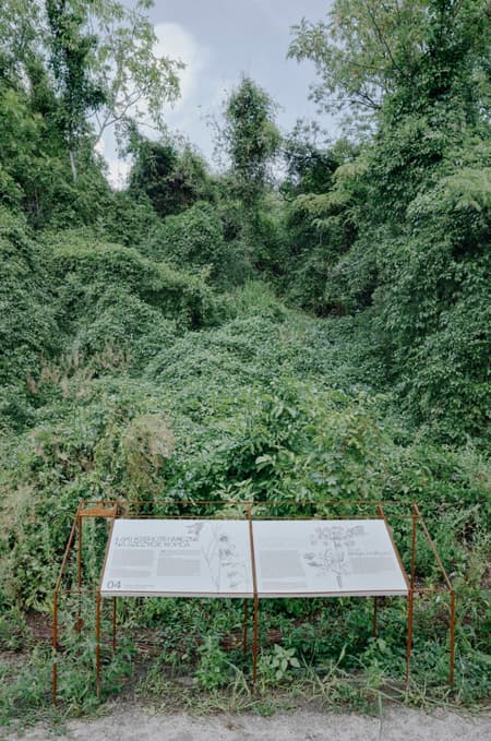 Warsaw Uprising Mound